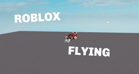 Roblox Fly Script